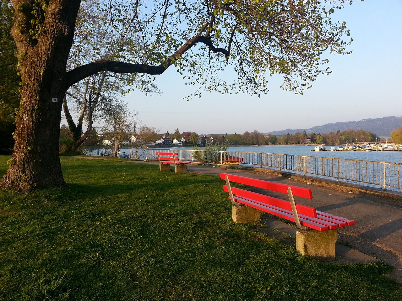 C罗专访预告：在梅西之前阿根廷赢了几次世界杯？他们已习惯胜利